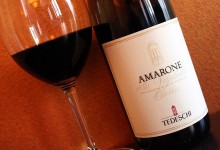 Nho đỏ Ancellotta bản địa làm rượu vang Ý !